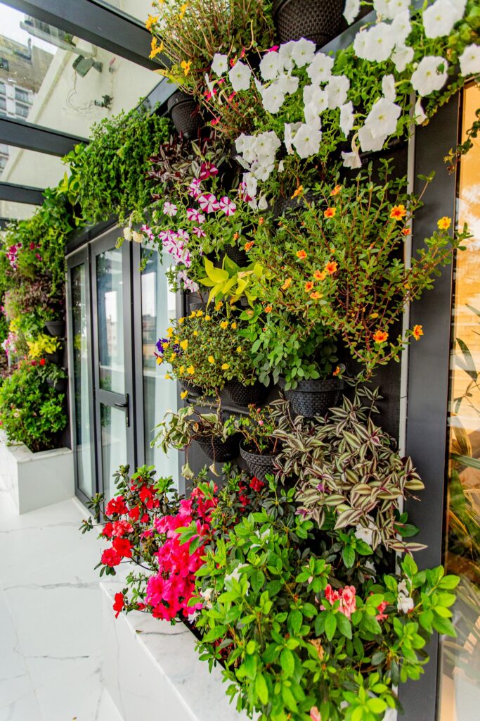 Joia2&3-7796 - 2K JPEG